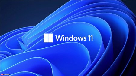 Hướng dẫn Cập nhật Windows 11