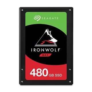 Seagate IronWolf 110 - 480GB