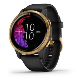 Garmin Venu™ Gold Stainless Steel Bezel with Black Case and Silicone Band