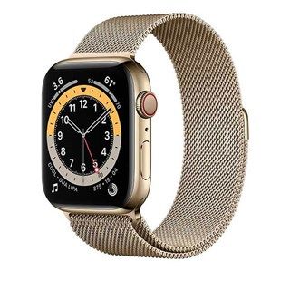 Apple Watch Series 6 Gold Stainless Steel, Gold Milanese Loop, LTE 44mm