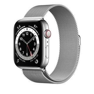 Apple Watch Series 6 Silver Stainless Steel, Silver Milanese Loop, LTE 44mm