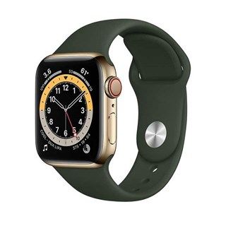 Apple Watch Series 6 Gold Stainless Steel. Cyprus Green Sport, LTE 40mm