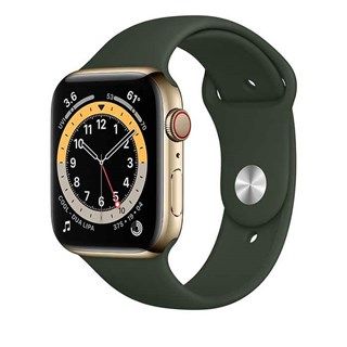 Apple Watch Series 6 Gold Stainless Steel. Cyprus Green Sport, LTE 44mm