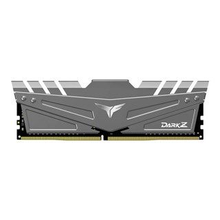TeamGroup DARK Z DDR4 Gaming 16GB 3200MHz CL16 Gray